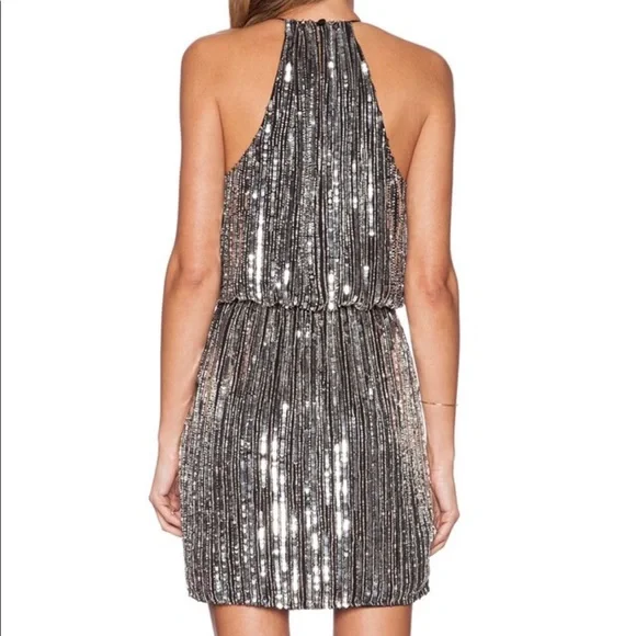 Parker sequin dress Catarina from Revolve - Picture 3 of 3